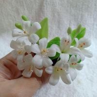 ราคา ดอกแก้ว, ดอกกาสะลอง(ดอกปีบ), ดอกไม้ดิน, กิ๊ปปากเป็ดประดับดอกแก้ว,ดอกปีบ (23262656977)