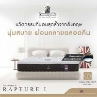 ราคา SB Design Square ที่นอน Dunlopillo รุ่น RAPTURE I ขนาด 3.5 ฟุต แถมฟรีหมอนหนุน 1 ใบ (23458408322)