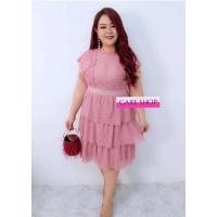ราคา เดรสลูกไม้สีฟ้าสาวอวบ (5757833394)