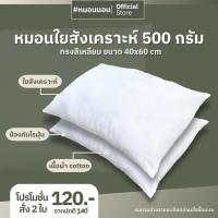 ราคา หมอน หมอนใยสังเคราะห์ 500 กรัม (2ใบ) (24181187514)