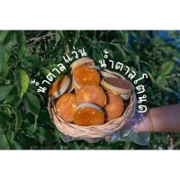 ราคา น้ำตาลโตนด น้ำตาลแว่นแท้ น้ำตาลแว่นตาลโตนด ของดีอ.สทิงพระ จ.สงขลา น้ำตาลทำขนมหวาน ปรุงอาหารคาว (29864084227)