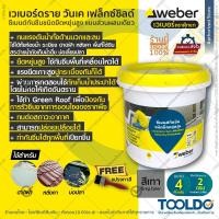 ราคา WEBER เวเบอร์ ดรายวันเคเฟล็กซ์ชิลด์ ซีเมนต์กันซึม ชนิดยืดหยุนสูง 4 Kg สีเทา สำหรับบ่อปลา แถมแปรง ดาดฟ้า ซีเมนต์ (13917328995)