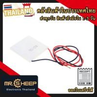 ราคา TEC1-12706 12V 60W Thermoelectric Peltier Cooler | แผ่นเทอร์โมอิเล็คทริกทำความเย็น 12V 60W (27624208776)
