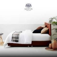 ราคา LOTUS เตียงหนัง Lifestyle รุ่น Marche เลือกสีได้ ส่งฟรี (25292812477)