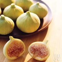 ราคา 10 เมล็ด เมล็ดมะเดื่อฝรั่ง Figs สายพันธุ์ Desert King มะเดื่อฝรั่ง ลูกฟิก (9575639495)