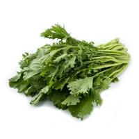 ราคา 500 เมล็ด ผักกาดเขียว ผักกาดหิ่น ผักกาดเขียวปลี ผักกาดสร้อย Leaf mustard Seeds สายพันธุ์ ใบสร้อย (41323683733)