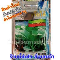 ราคา เมล็ดผักคะน้ายอด คะน้ายอด เมล็ดพันธุ์ผักเจียไต๋ 1 ซอง เมล็ดพันธุ์คะน้ายอด (2867973273)