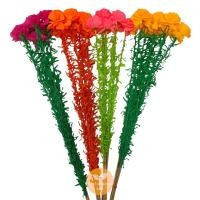 ราคา ไม้กฐิน ก้านกฐินสำเร็จรูป ไม้เสียบธนบัตรดอกไม้ดาวเรืองหลากสี ช่อละ 20 ก้าน คละสี (28016079518)