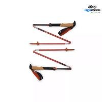 ราคา ไม้เท้าเดินป่า - รุ่น Pursuit FLZ Trekking Poles - ยี่ห้อ Black Diamond (23845000806)