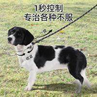 ราคา สายจูงสุนัขปลอกคอโซ่สัตว์เลี้ยงสุนัขเดินเชือกสุนัขจูงปลอกคอโซ่สัตว์เลี้ยงสุนัขเดินเชือก20251113 (41576362195)