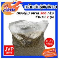 ราคา เมล็ดพันธุ์ผักชีลาว ทรงพุ่ม ขนาด 500 กรัม 2ถุง เม็ดผักชี เมล็ดพืช ผักชีลาว ผักชีลาวพุ่ม ต้นใหญ่ ทรงพุ่ม ปลูกได้ทุกฤดู (43055534628)