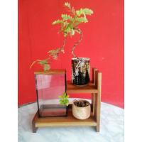 ราคา โหลปลามินิมอล พร้อมชั้นวาง (สำหรับใส่ปลากัด ปลาสวยงามขนาดเล็ก) (22880463113)