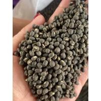 ราคา ถั่วแขก,ถั่วเพาะงอก ถั่วแขกพันธุ์ชัยนาท4,ถั่วแขกดำ (25462065456)