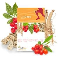 ราคา Herb Plus Lekcapp เลคแคปป์ ผลิตภัณฑ์เสริมอาหาร 90 แคปซูล