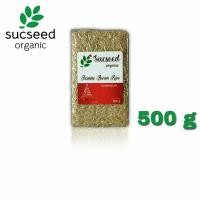 ราคา ข้าวกล้องหอมมะลิอินทรีย์ ข้าวหอมมะลิ ข้าวกล้อง ตราซักซี๊ดออร์แกนิค Sucseed Organic ขนาดบรรจุ 500 กรัม (14639664156)