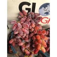 ราคา องุ่นคิมสัน AUS ออสเตรเลีย ไร้เมล็ด # น้ำหนักรวมกล่อง 10 กิโลกรัม.(ตรา Global) องุ่นแดงไร้เมล็ด นำเข้าจากออสเตรเลีย (24327446444)