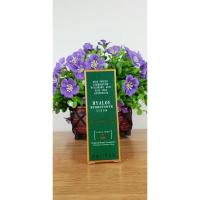 ราคา ไฮยาโล ไฮโดรพาวเวอร์ เซรั่ม มาดามเฮง Hyaloe Hydropower serum Madame Heng (28227079049)