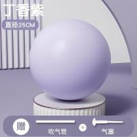 ราคา อินเทรนด์เล่นลูกบอลโยคะลูกบอลขนาดเล็กพิลาทิสหนาป้องกันการระเบิดมินิ 25 ซม.Pelates ฟิตเนสบอลนวดกีฬาเริ่มต้นลูกบอลโยคะพิลาทิสฟางระเบิด Mini 2ssc (56251158686)