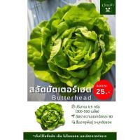 ราคา เมล็ดพันธุ์สลัดบัตเตอร์เฮด (43054033443)
