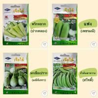 ราคา เมล็ดพันธุ์ผัก(ซอง) พริกหยวกปากคลอง แฟงเพชรมณี มะเขือเปราะมณีจันทรา ถั่วลันเตาหวานสวีทตี้ ตราเครื่องบิน เจียไต๋ (8829271466)