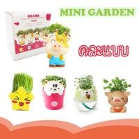 ราคา MN076 MINI GARDEN คละแบบ ชุดของขวัญ ปลูกต้นไม้ ชุดปลูกต้นไม้จิ๋ว พร้อมเมล็ดพันธุ์ (9265886527)