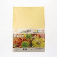 ราคา HOMEHAP การ์ดสีA4 120 แกรม 180 แผ่น คละสี กระดาษการ์ด กระดาษทำปก กระดาษปก (22422322437)