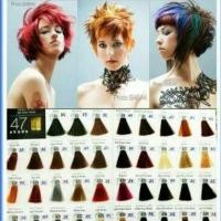 ราคา Berina Hair Color ครีมเปลี่ยนสีผม เบอริน่า เปล่งประกาย ติดทนนาน ปิดผมขาว มีทุกสี!! สอบถามได้ค่ะ A1- A47 (2605002033)