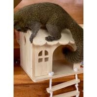 ราคา บ้านไม้ นก กระรอก wco9 (25522405971)