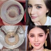 ราคา คอนแทคเลนส์ เลนส์เจ้าสาว แต่งหน้า รุ่น Florida/Mini Lamune สีเทา/Gray สีตาล/Brown มีค่าสายตา (0.00)-(-8.00) (16884890567)