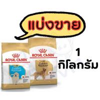 ราคา Royal Canin Golden Retriever *แบ่งขาย* 1kg - สำหรับสุนัขพันธุ์โกลเด้น รีทรีฟเวอร์ (49953206247)