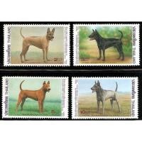 ราคา แสตมป์ชุดสุนัขพันธุ์หลังอาน ปี 2536 ยังไม่ใช้ (1575047350)