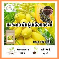 ราคา เมล็ดมะละกอเหลืองกระบี่ 100 เมล็ด (25289324051)