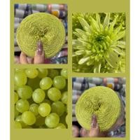 ราคา [Lilithes_vn] ม้วนเส้นด้ายเหนียวกลม 0.6 มม. สําหรับถัก เสื้อโค้ทโครเชต์ กระโปรง ao dai ผ้าพันคออ่อน (46900243994)