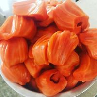 ราคา ขายกิ่งพันธุ์ขนุนแดงสุริยากิ่งทาบ1ถุงดำ ต้นแข็งแรงพร้อมปลูกราคาถูก (27856826830)