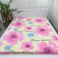 ราคา ผ้าปูที่นอน ผ้าปูที่นอนยางยืดเย็นเกาหลีคุณภาพสูง (ไม่มีปลอกหมอน) (41321879419)