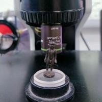 ราคา กุมารทอง พี่จุก วัดสวนหลวง ลอยองค์เล็ก ยุคแรก หายาก สุดๆ สร้างยุคแรก เนื้อโลหะ ปัจจุบันไม่เจอกันบ่อยๆแล้วครับ (7731808656)