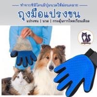 ราคา ถุงมือแปรงขน ถุงมือหวีขน แปรงขนสัตว์เลี้ยง แมว สุนัข หมา ทำมาจากซิลิโคนอย่างดี ทำให้สัมผัสถึงความนุ่ม (7182568635)