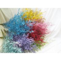 ราคา ดอกไม้แห้ง ดอกแคสเปียแห้ง แคสเปีย ย้อมสี ราคากำละ 100 บาท พร้อมส่งจาก กทมเลยค่ะ (4308512084)