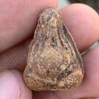 ราคา พระปิดตา หลวงปู่ยิ้ม วัดหนองบัว เนื้อผงผสมว่าน (47153138154)