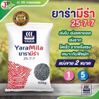 ราคา ปุ๋ยยารามีร่า​ 25-7-7 แบ่งขาย 1,5 เร่งใบ เร่งแตกยอด เร่งราก โตเร็ว รากแข็งแรง เหมาะกับพืชผัก ตราปุ๋ยเรือใบ ปุ๋ยเคมี (25112655041)