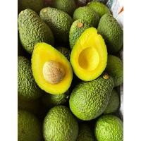 ราคา อโวคาโด สายพันธุ์แฮส นำเข้าจากออสเตรเลีย คัดเกรด (41518581596)
