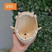 ราคา กระถาง Monster มาแย้ว (พร้อมส่งจ้าาา) (11920671907)