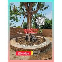 ราคา อิฐโชว์อิฐแต่งบ้านอิฐสร้างบ้านทำสวน (28138529701)