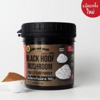 ราคา ผงเห็ดกระถินพิมาน สกัดเข้มข้น 100% บดละเอียด ธรรมชาติ บรรจุ 120g (22242554130)