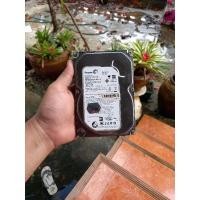ราคา HDD 500GB. Seagate มือสองสภาพดี (18469157191)
