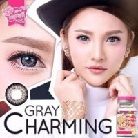 ราคา KittyKawaii Charming Eff.19 Gray ใหญ่ (24426637147)