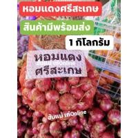 ราคา หอมแดง 1กิโลกรัม #หอมแดง #หอมแดงศรีสะเกษ (3515104181)