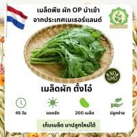 ราคา เมล็ดพันธุ์สลัดรวมผักต่างๆ ตั่งโอ๋ ตั้งโอ๋เมล็ดนอกนำเข้าต่างๆ พันธุ์ OP บรรจุ 40-200 เมล็ด (25155718347)