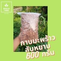 ราคา กาบมะพร้าวสับปลูกต้นไม้ 600 กรัม -ขุยมะพร้าว-แกลบดิบ-แกลบดำ-ฟาง-ปุ๋ยคอก (3987883365)