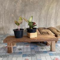 ราคา ม้านั่งยาว ทรงเตี้ย เก้าอี้ไม้สัก เก้าอี้ยาว สำหรับวางกระถางต้นไม้ หรือนั่ง (2953079329)